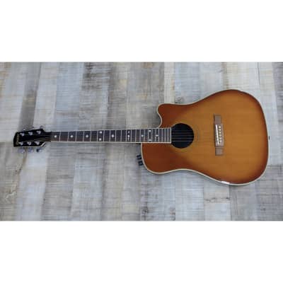 Daion Acoustic 1980's - Gloss for sale
