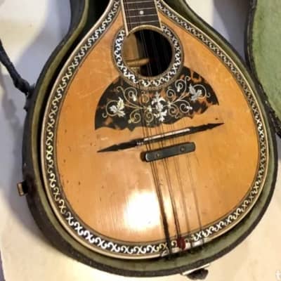 Bruno Klemm. Mandolina. Year 1890 Mandolin. image 8