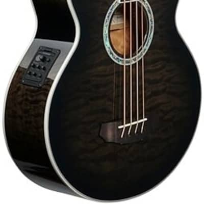 Michael Kelly Dragonfly 4 Fretless Acoustic Bass w/ Smoke