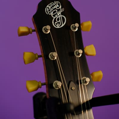 Patrick James Eggle Macon Single Cut 2023 - Nitro Tobacco Burst image 4