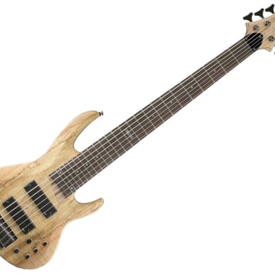 ESP LTD B-206 6-String Bass Guitar - Spalted Maple image 1