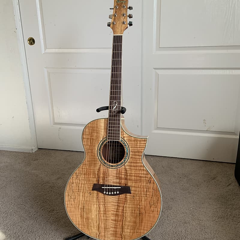 Ibanez ew20 price deals
