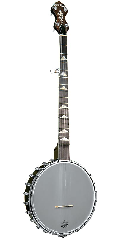 Gold Tone WL-250 White Ladye Professional Openback Banjo WL-250 w/case image 1