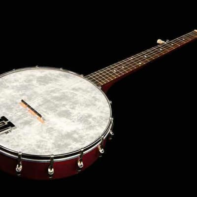 Recording King RKOH-05 Open Back 5-String Banjo. New, with Full Warranty! image 7