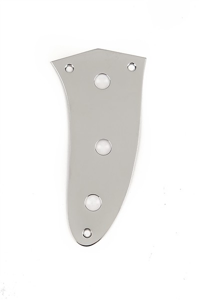 Fender 007-9319-000 Mustang Bass Control Plate with Screws image 1