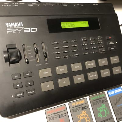 YAMAHA RY30 w/ Adapter, Manual and 4 Cards