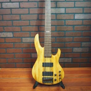 ESP LTD B-405SM 5-String Bass Guitar w/ Hardshell Case | Reverb