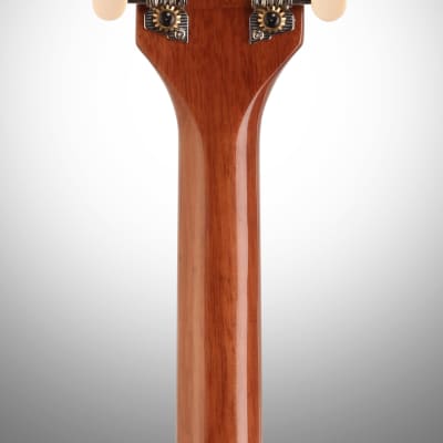 Ibanez PFT2 Tenor Acoustic Guitar, Natural image 7