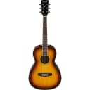 Ibanez PN15 PF Performance Series Parlor Guitar (Brown Sunburst)