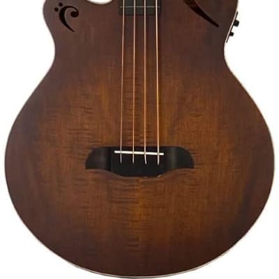 Sawtooth Left-Handed Rudy Sarzo Signature Fretless Acoustic-Electric Bass  Guitar with Padded Gig Bag