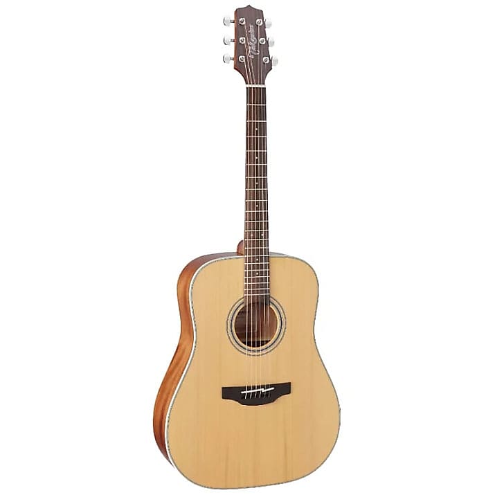Takamine GD20NS Dreadnought Acoustic Guitar image 1