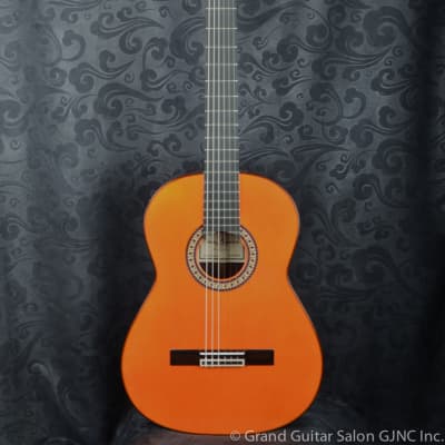 Raimundo Flamenco  Guitar  Model 145 Negra !!! for sale