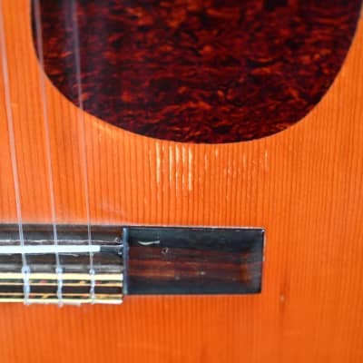 (10389) Yamaki Bruno Y 50 Classical Guitar image 5
