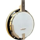 GOLD TONE Cripple Creek 4-string Tenor Banjo with Resonator - CC-TENOR
