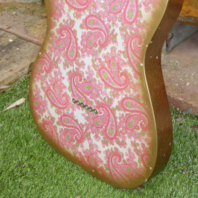 DY Guitars Brad Paisley tribute Pink Paisley relic esquire / tele body PRE-BUILD ORDER image 5