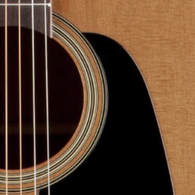Takamine P1DC Dreadnought Acoustic Guitar image 3