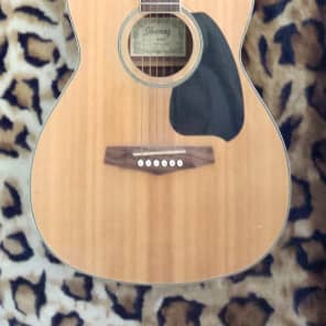 Ibanez PG4NT Acoustic Guitar 1999 Reverb Canada