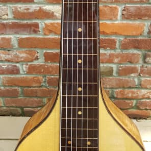 Celtic Cross 8 string Weissenborn copy, with 2 pickups, custom HSC, VERY nice! image 8