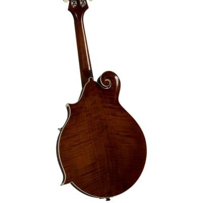 Kentucky KM-756 Deluxe F-model Mandolin – Transparent Brown– WITH Matching Kentucky Deluxe Gig Bag - KM756 image 2