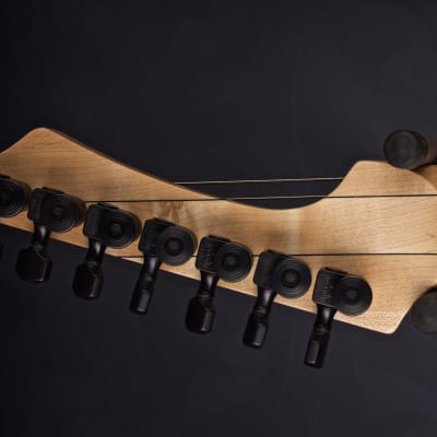 Blackmachine B6+1 Prototype seven string (not B7or B6) | Reverb