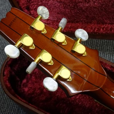 ARIA セミアコ　used Aria Semi-Hollow Body 6 String Electric Guitars for sale | eBay