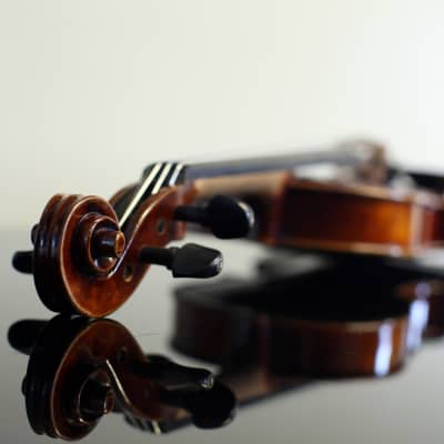 Plum Grove Violin 3/4 image 6