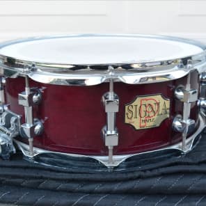 Premier Signia 14x5.5" 10-Lug Maple Snare Drum 1992 - 2003