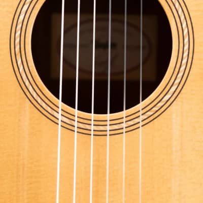 Taylor Academy 12e-N Nylon Grand Concert Acoustic/Electric Guitar with Gig Bag image 14