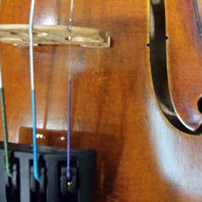 D Z Strad Violin Outfit- Model 300 (1/2 Size) (Light Antique Finish) image 3
