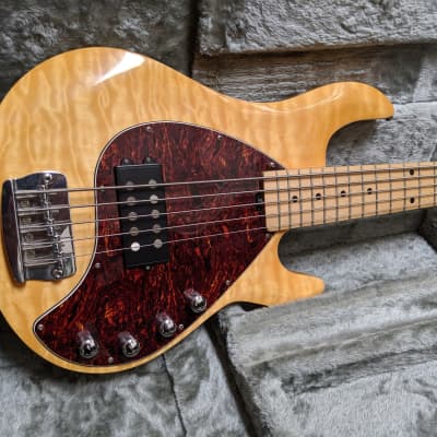 OLP Tony Levin Signature 5 String Bass Natural With HSC Video Demo image 2