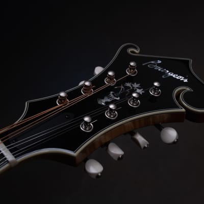 Bourgeois M5-F Aged Tone F-style mandolin Brand New image 11