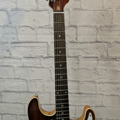 Cozart Semi Hollow Strat Style Electric Guitar image 6