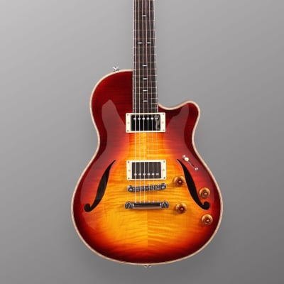 CP Thornton Guitars Professional 2023 - Darkburst w/ 5A Flame Maple Top. NEW (Authorized Dealer) image 2