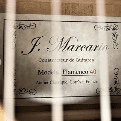 J. Macario flamenco 40 circa 2018 natural image 3