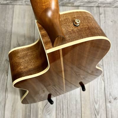 Godin #051830 - Concert CW Clasica II - Cedar Mahogany Classical Acoustic Electric Guitar image 5