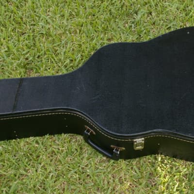 Trump Dreadnought with Vintage Case image 25