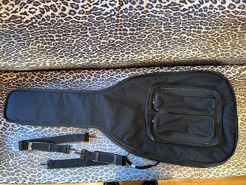 Padded guitar store gig bag