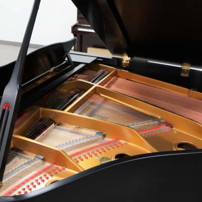 Young Chang Grand Piano Model 150 Ebony Satin image 3