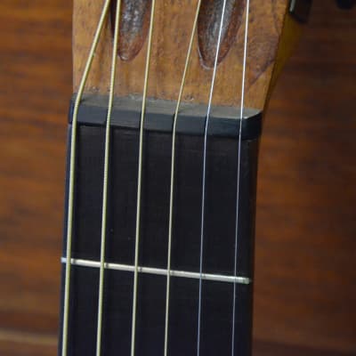 Regal Fancy Parlor Guitar 0 Size 1900s Natural image 6