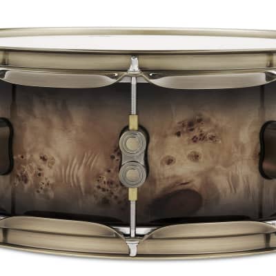 PDP 5.5x14 Concept Maple Limited Edt. Mapa Burl Snare Drum image 4