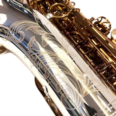 FORESTONE Alto Saxophone Forestone GX COLORS image 9