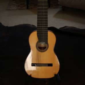 Darren Hippner 11 string Concert Classical 2011 image 1