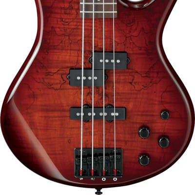 Ibanez GSR200SM 4-String Spalted Maple Bass Guitar, Charcoal Brown Burst image 1