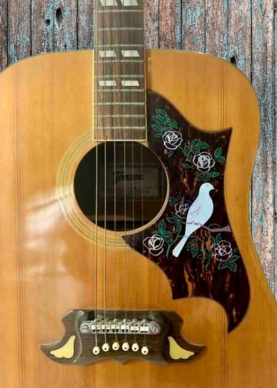 Tomson TG-250 (1970s) - Kiso Suzuki Dove Model Acoustic Guitar