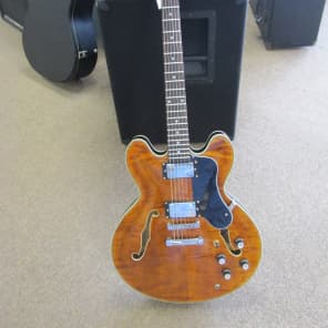 Blue Frog Made in the USA  335 Style Flametop 2014 Vintage Amber image 13