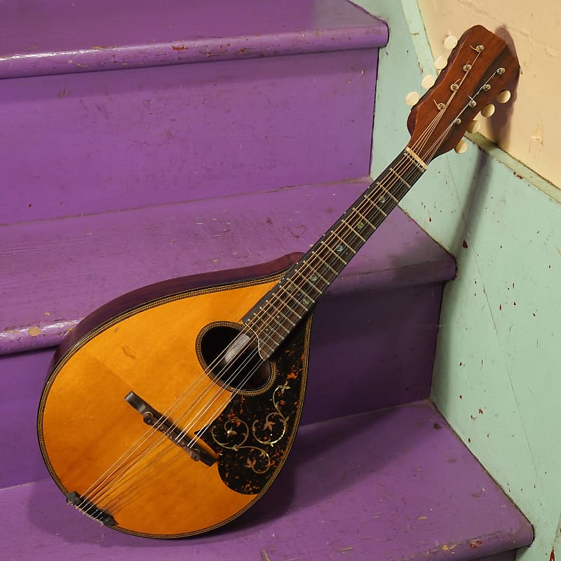 1920s Bruno Regal-Made Rosewood Flatback Mandolin (VIDEO! | Reverb UK