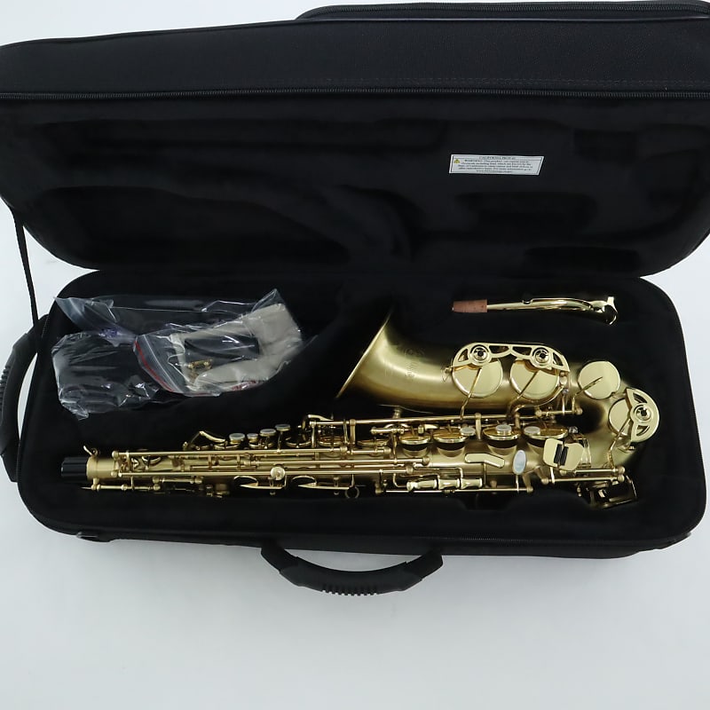 Selmer Intermediate Alto Sax (SAS711)