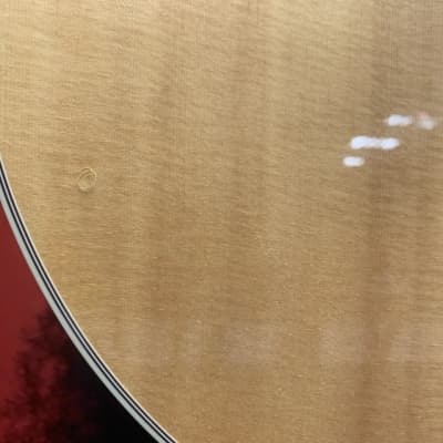 Takamine EG523SC-12 12 String Guitar (Houston, TX) image 4