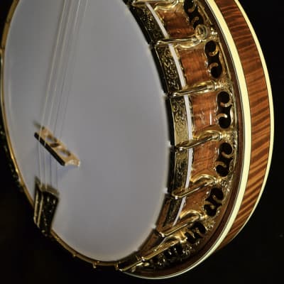 SOLD! - OME Custom Juggernaught Plectrum Banjo image 2