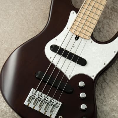 Xotic XJ-1T 5st -Walnut Blonde- 2025 [Made in Japan] | Reverb
